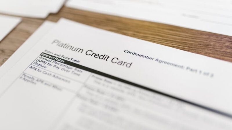 Centrale Rischi Banca d’Italia: Come Verificare la Propria Posizione